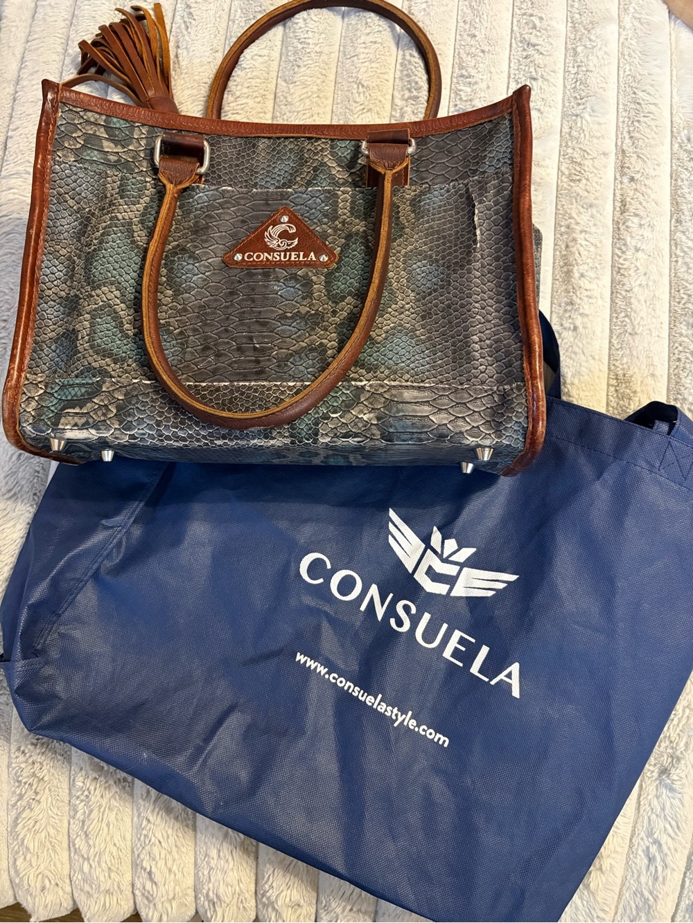 Consuela Brown & Teal Snake-Print Tote with Tassel